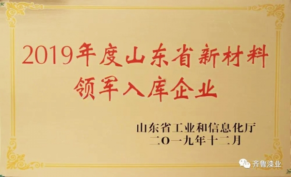 再传捷报：91香蕉视频污下载漆业荣膺山东省新材料领军入库企业